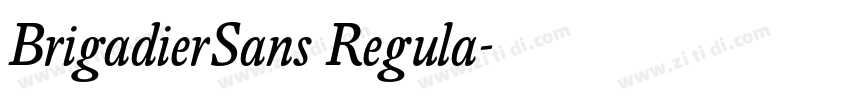 BrigadierSans Regula字体转换 BrigadierSans Regula字体转换